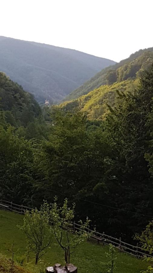 Pensiunea Valea Tonii Strungari Dış mekan fotoğraf