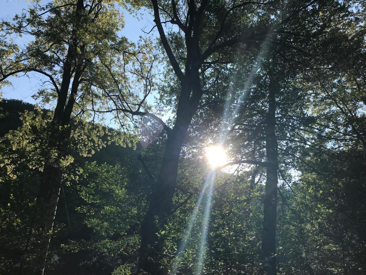 Pensiunea Valea Tonii Strungari Dış mekan fotoğraf