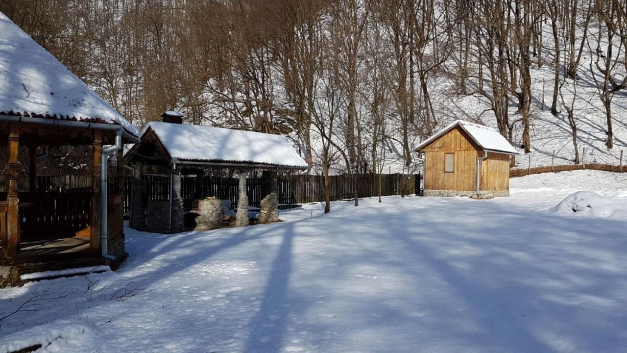 Pensiunea Valea Tonii Strungari Dış mekan fotoğraf