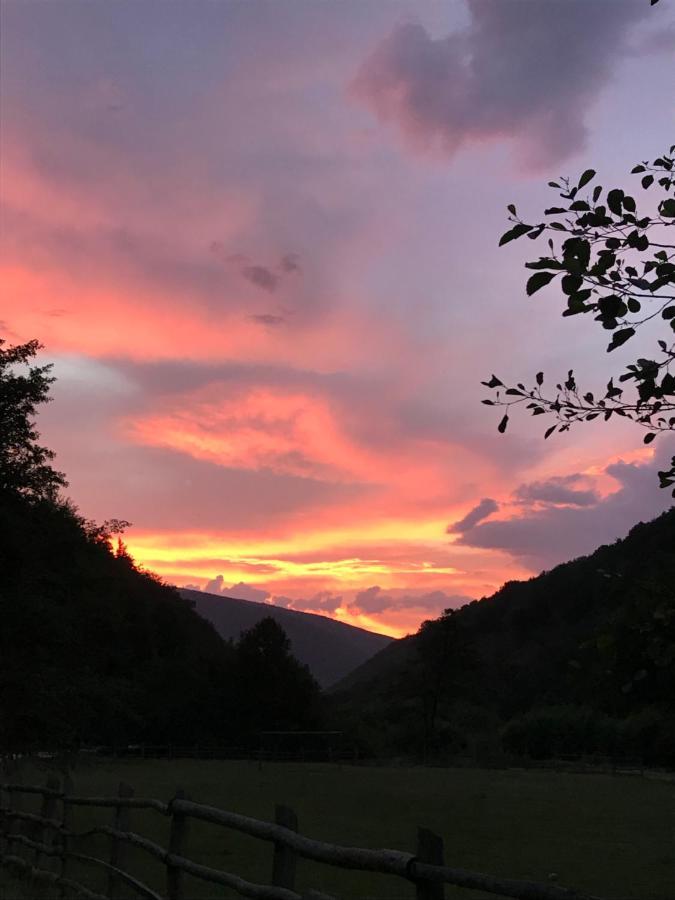 Pensiunea Valea Tonii Strungari Dış mekan fotoğraf