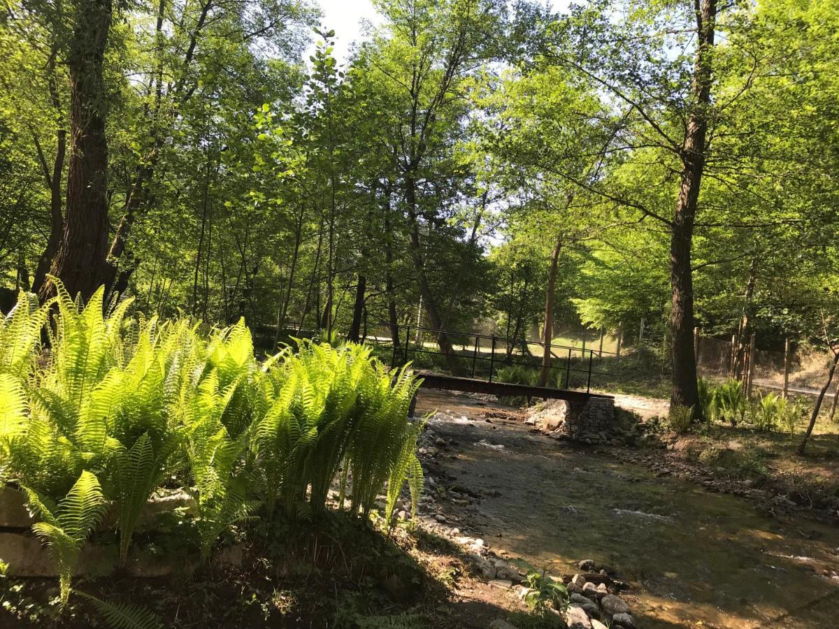 Pensiunea Valea Tonii Strungari Dış mekan fotoğraf