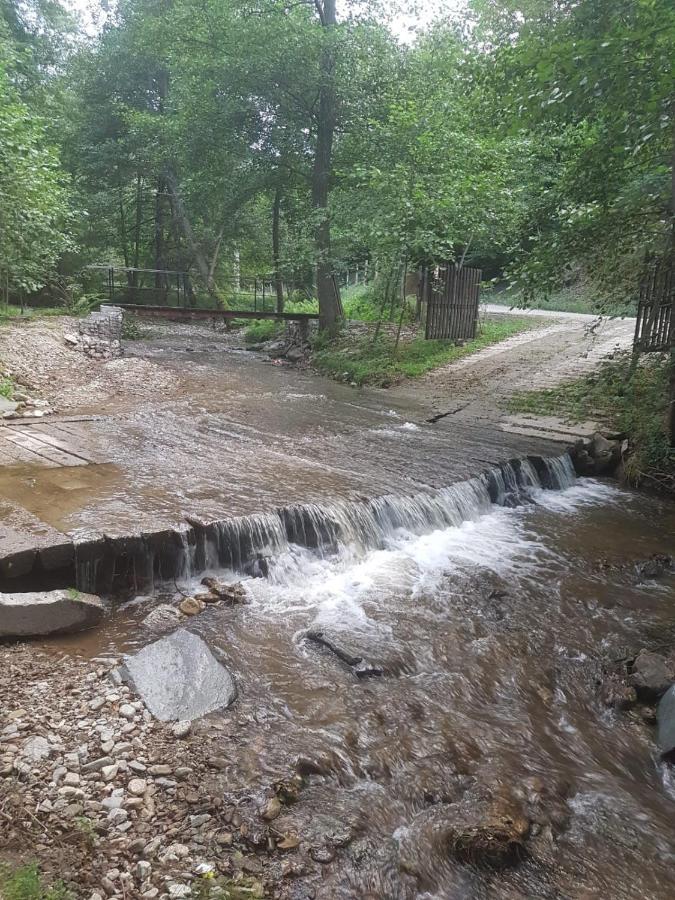 Pensiunea Valea Tonii Strungari Dış mekan fotoğraf